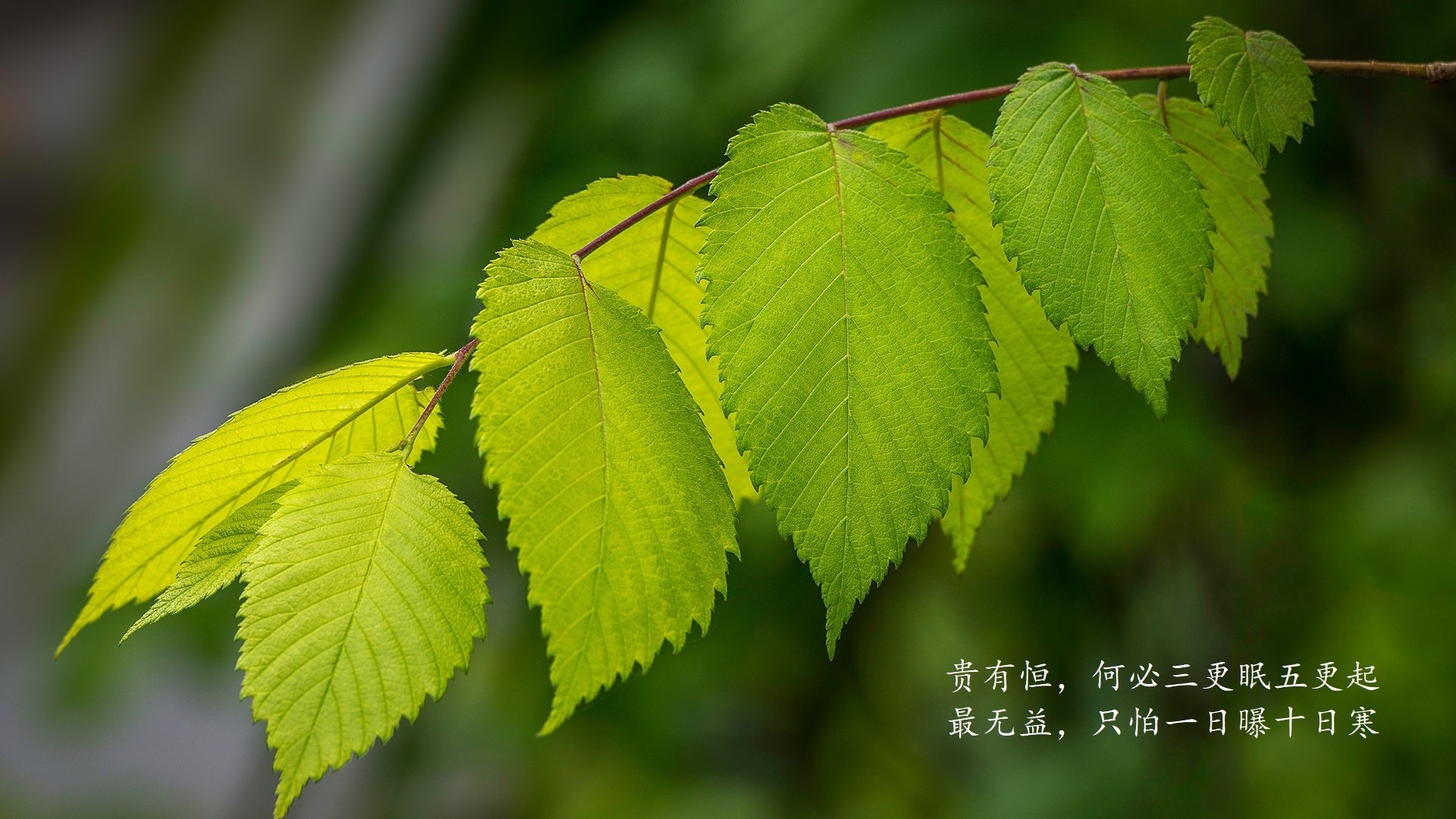 世界乒乓球公益巡回：名将下基层带动青少年兴趣，世界乒乓球协会